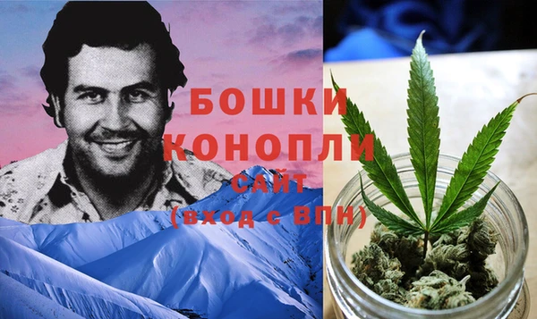 стаф Балахна
