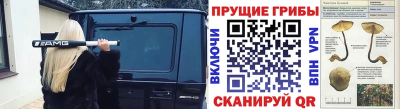 Псилоцибиновые грибы ЛСД  Калуга 
