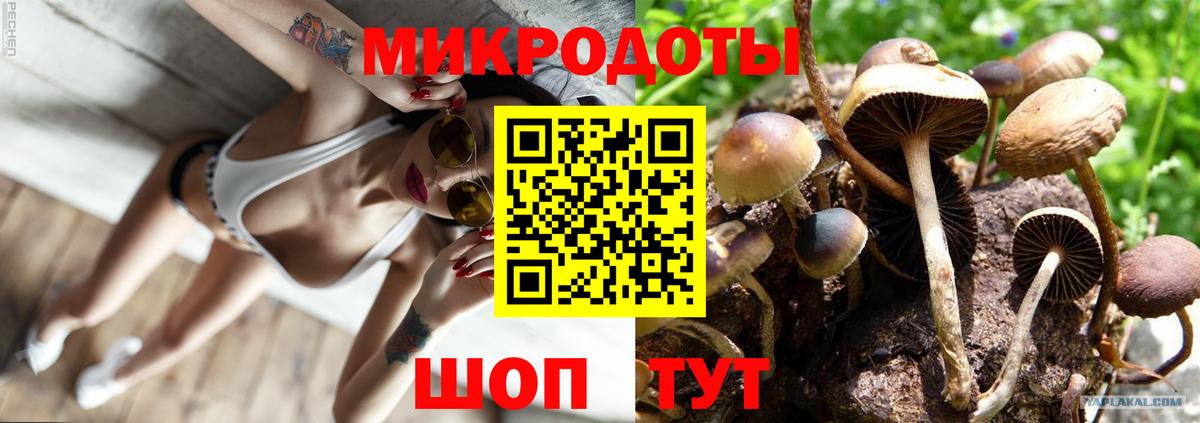 Псилоцибиновые грибы Magic Shrooms  Псилоцибиновые грибы мицелий  Калуга  Вход с VPN 