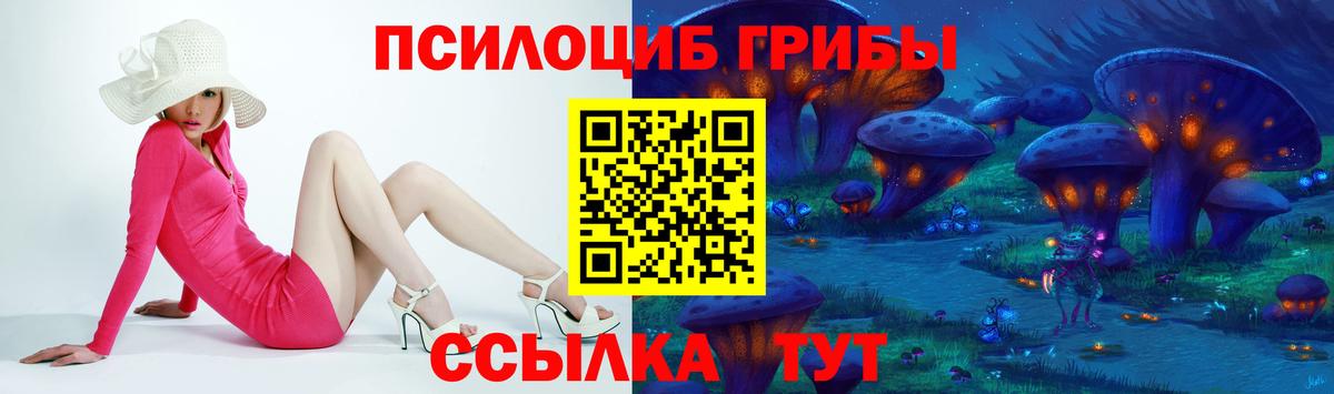 Галлюциногенные грибы Cubensis Калуга